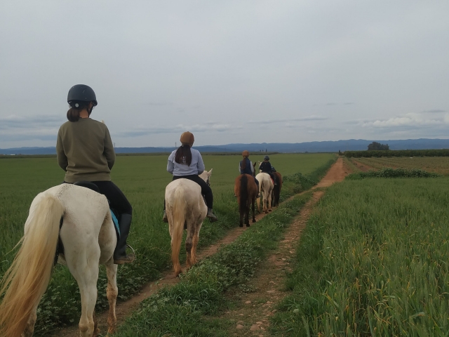  2 -hour horse ride 