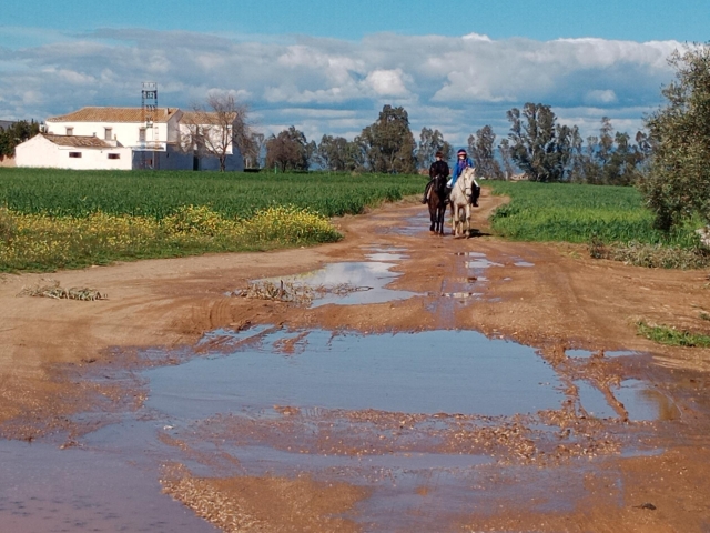  Horse ride from Palmera Fuente Córdoba