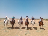 Campamento hípico de verano Fuente Palmera, 7 días