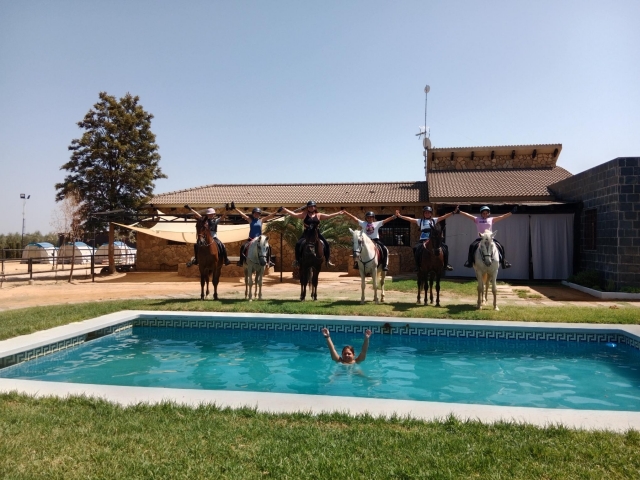 Horses et pâte de natation -