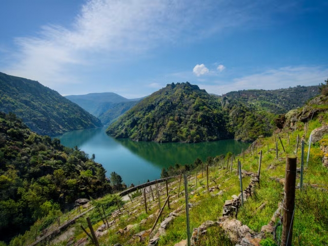 Ribeira del Miño
