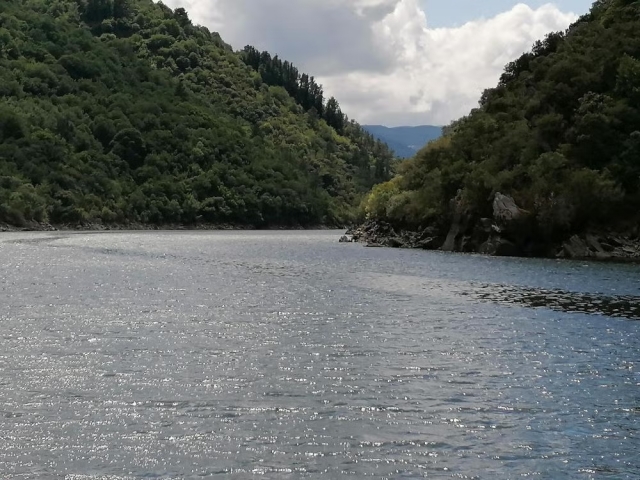 Ruta fluvial por el Miño
