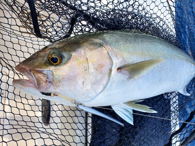 Fishing Day in Jávea 