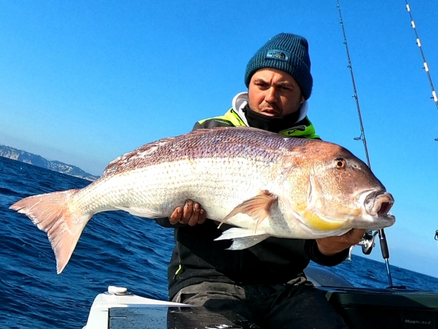  Great fish fish 