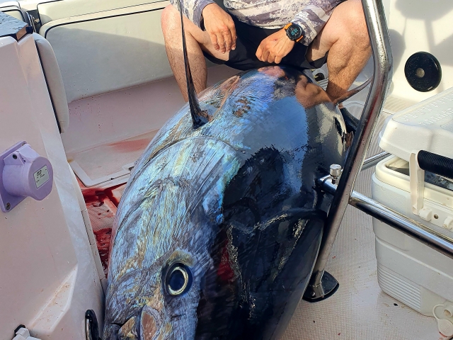  recently fish 