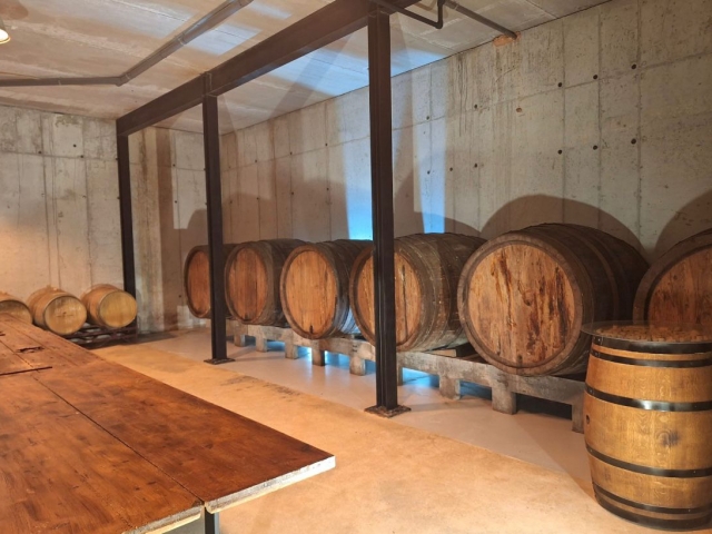 p-90639-visita-la-bodega1750081587_17500826894821.jpeg