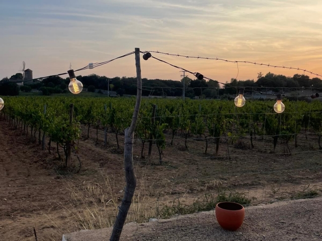  Vues du Viñedo 