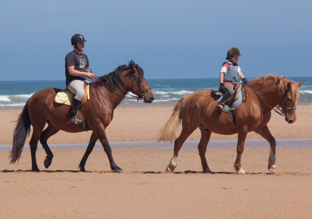 Ruta a caballo por Cantabria
