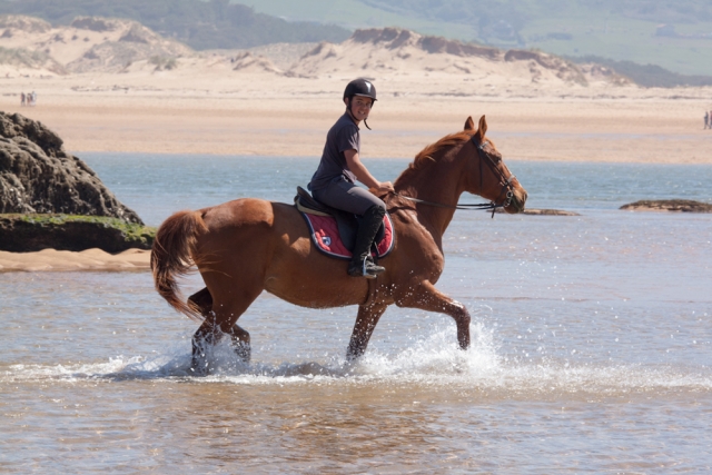 Ruta a caballo por la playa de Valdearenas
