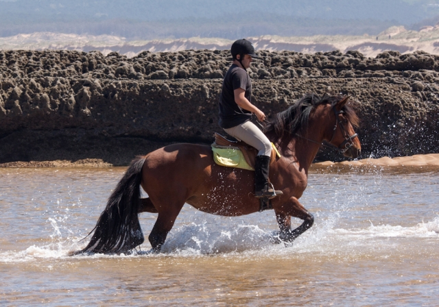 Cabalga por las playas de Liencres