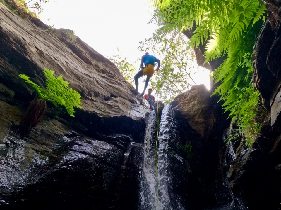  Descending the stream of the levers 