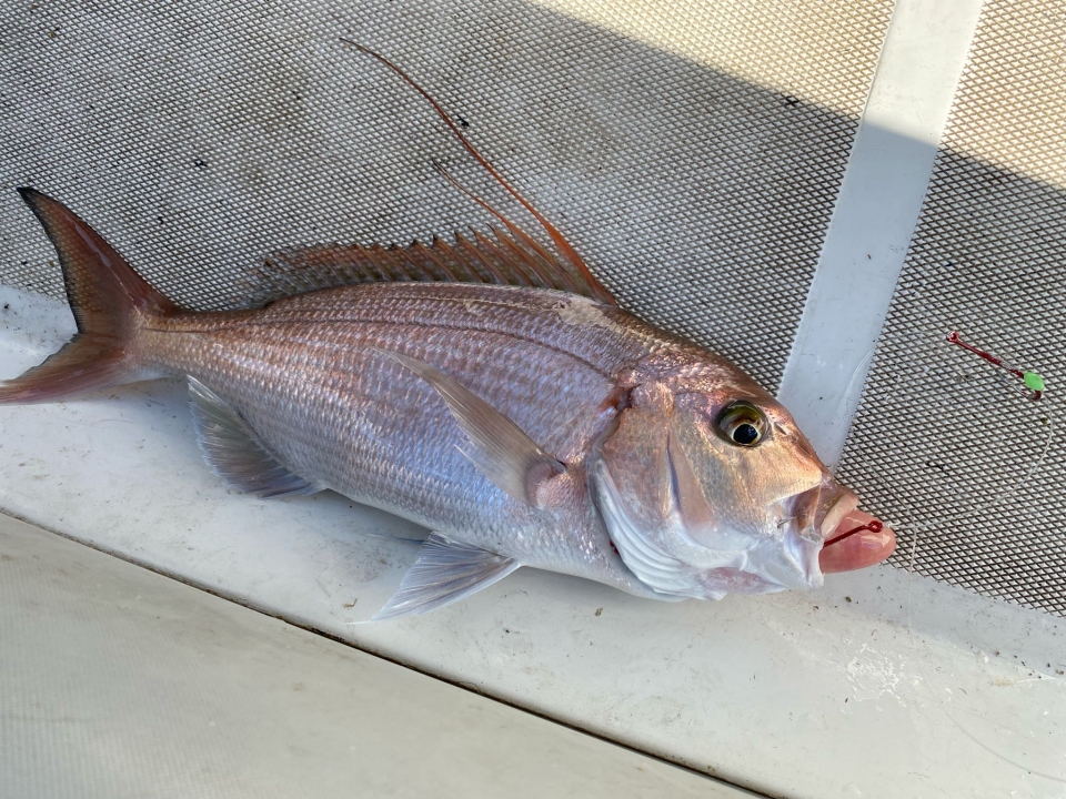  Charter de pêche