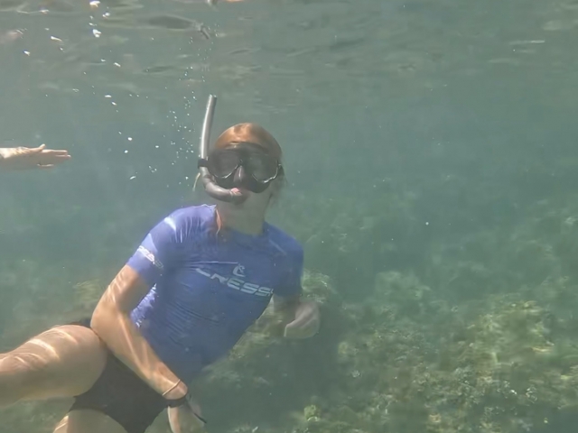 Erkundung der Meeresfauna und -flora