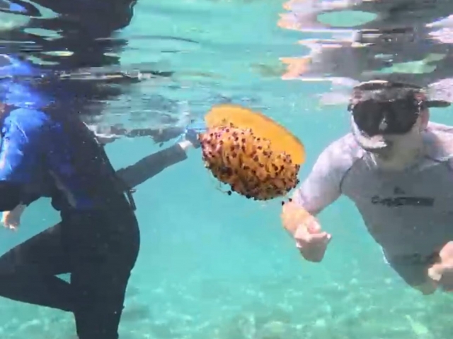 Schnorchelausflug mit lokalem Führer