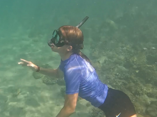 Cala Vidre 浮潜之旅 + 照片,1 小时 30 分钟 Cala Vidre 浮潜之旅 + 照片,1 小时 30 分钟