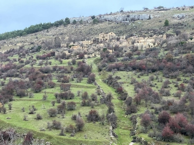 Panoramica della zona spopolata e strada di accesso 