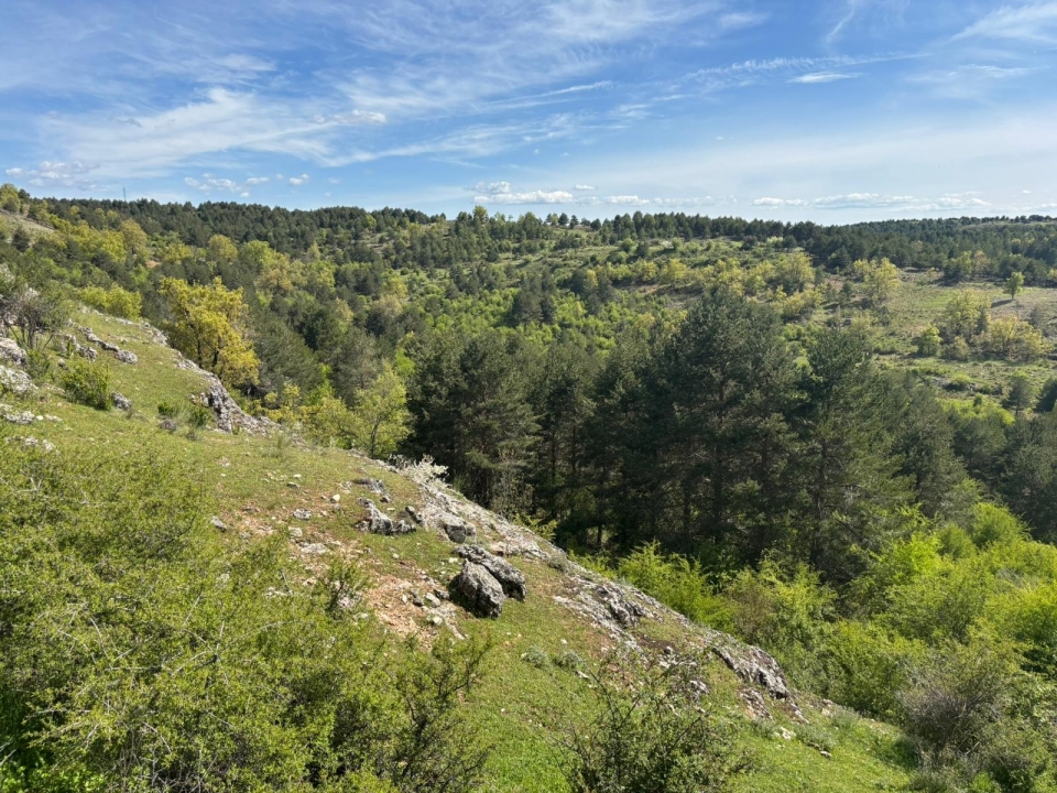  Zona spopolata di Valtablado 