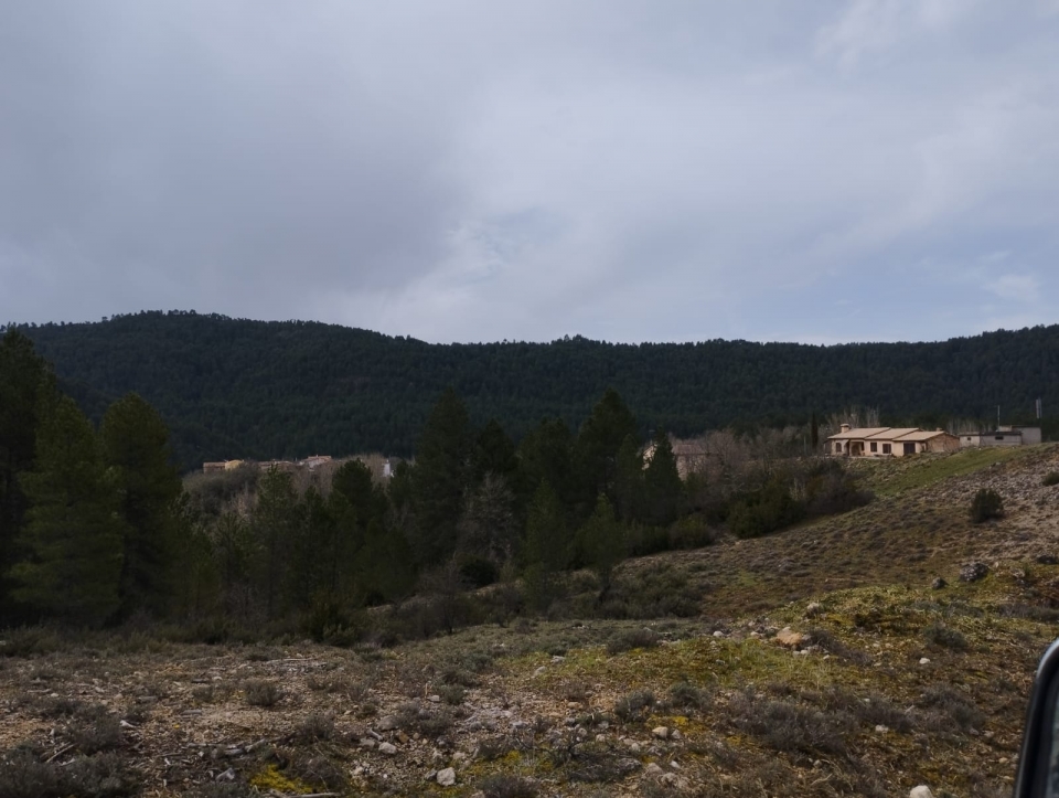 Paesaggi durante la visita 