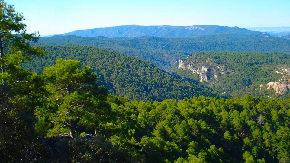  Visita guidata di Huertabellida 