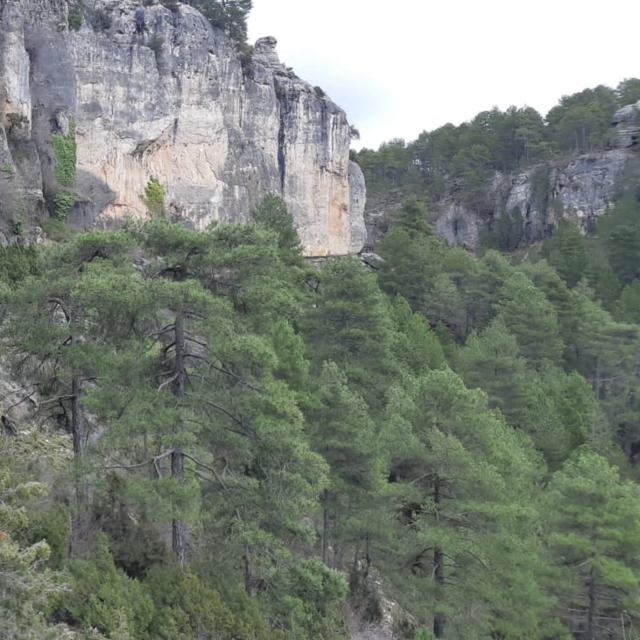  Serranía de Cuenca 