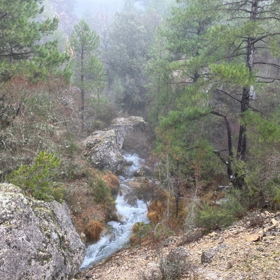  Visite guidate a Cuenca 