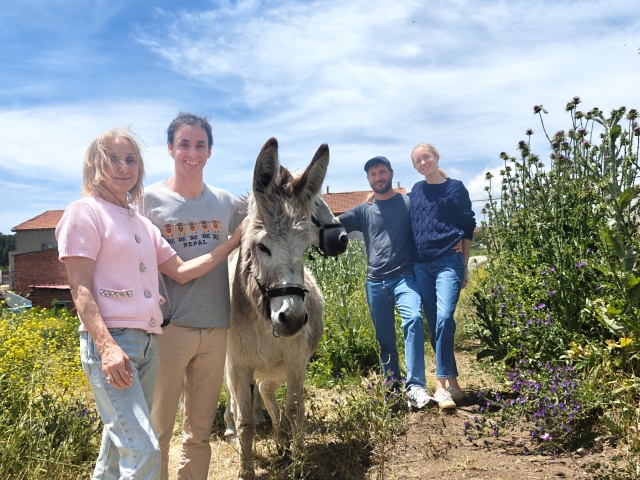 Saludando a los burros