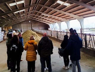 Visita del bestiame a Las Navas del Marqués 1,5 ore