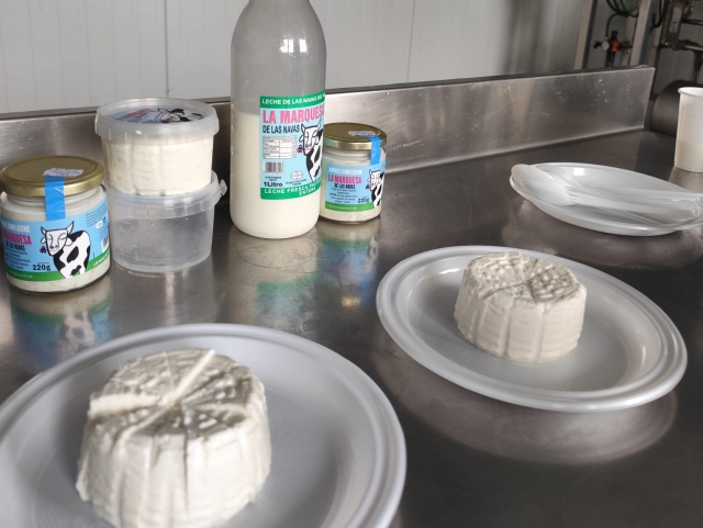  Formaggi e latticini artigianali 