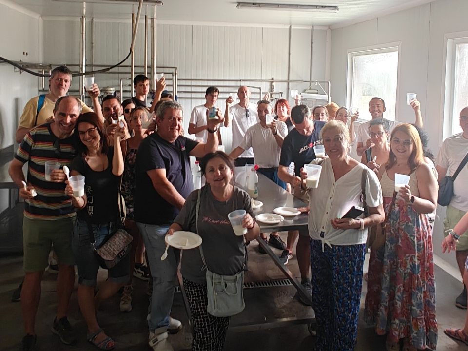  Degustazione latticini 