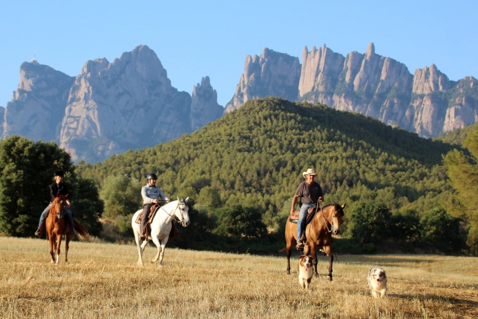  Passeio a cavalo de 1 hora 