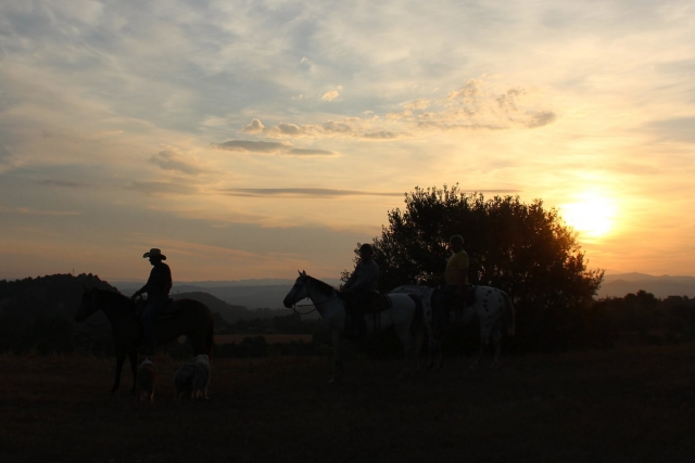  Pôr do sol a cavalo