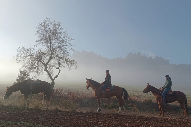  Percurso equestre em Barcelona 