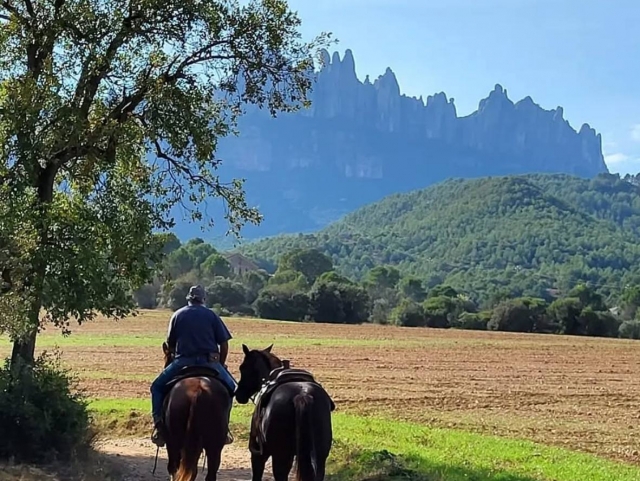  Passeio a cavalo com Montserrat ao fundo 