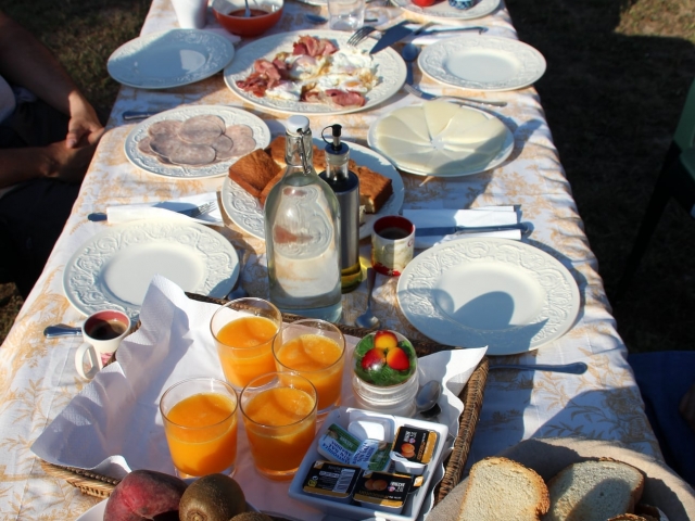  Café da manhã completo na fazenda 