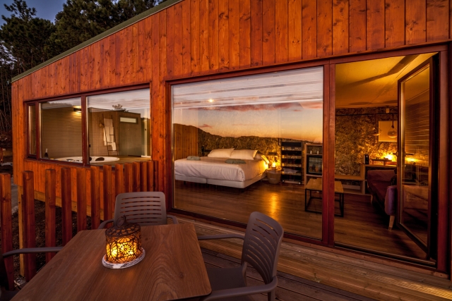  Nachtansicht des Inneren eines Nestes 