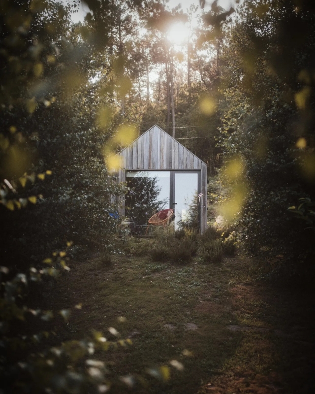  Gartenbereich zwischen Bäumen
