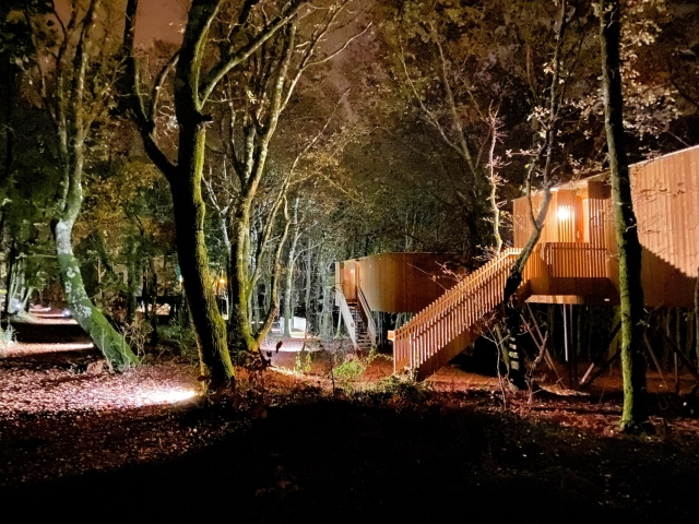  Hütten im Nachtwald 