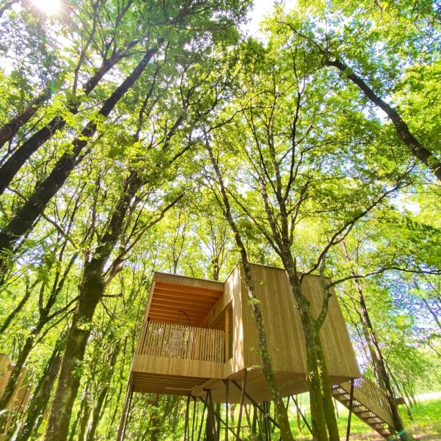  Hütten zwischen Bäumen 