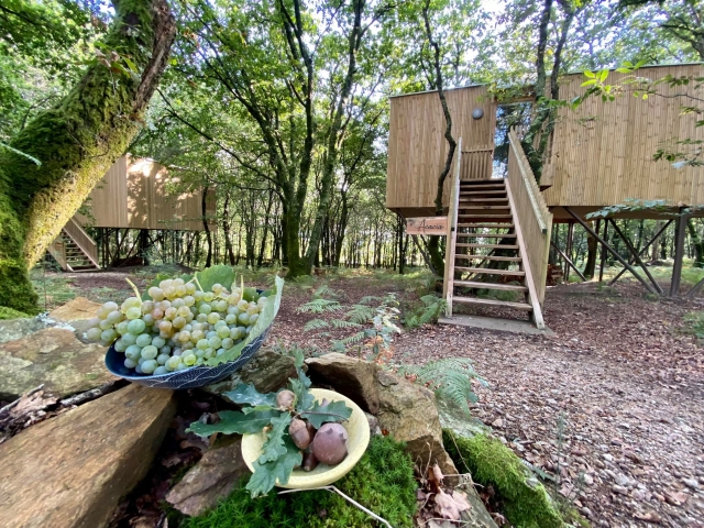  Was Sie zum Abschalten brauchen 