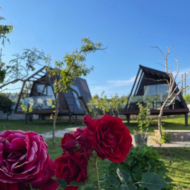  Natur und Entspannung 