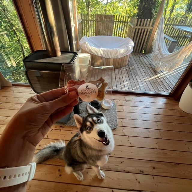  Haustiere willkommen 