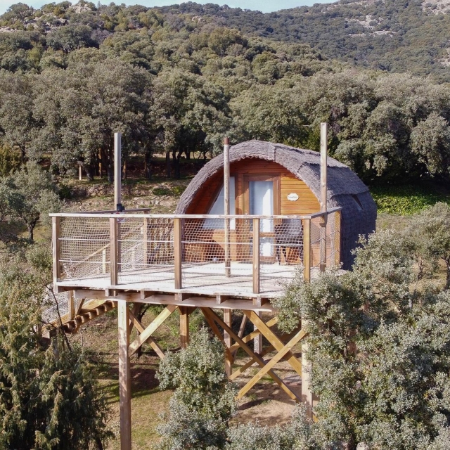 Cabaña en el árbol en la Sierra de Guadarrama