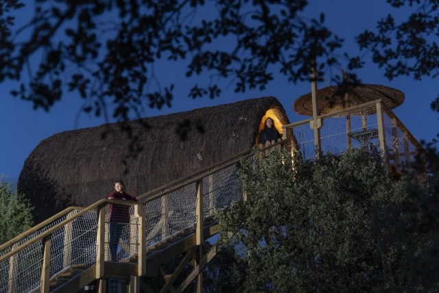 Cabañas en las noche