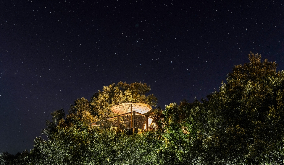 Cabañas en los árboles en Madrid