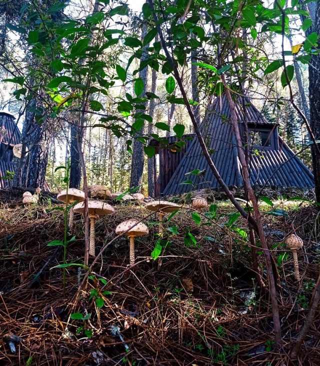 NAturaleza en estado puro