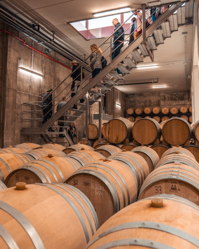  Cave Andrés Iniesta Cata 