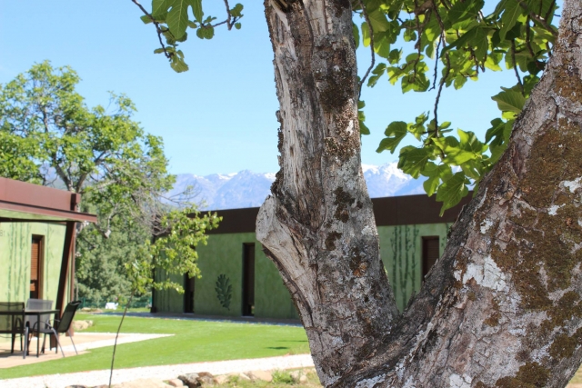  Les appartements du complexe 