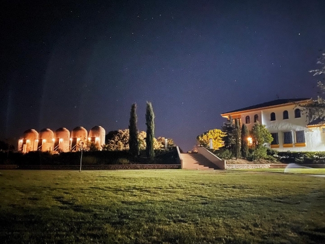  Nos bocaux au crépuscule 