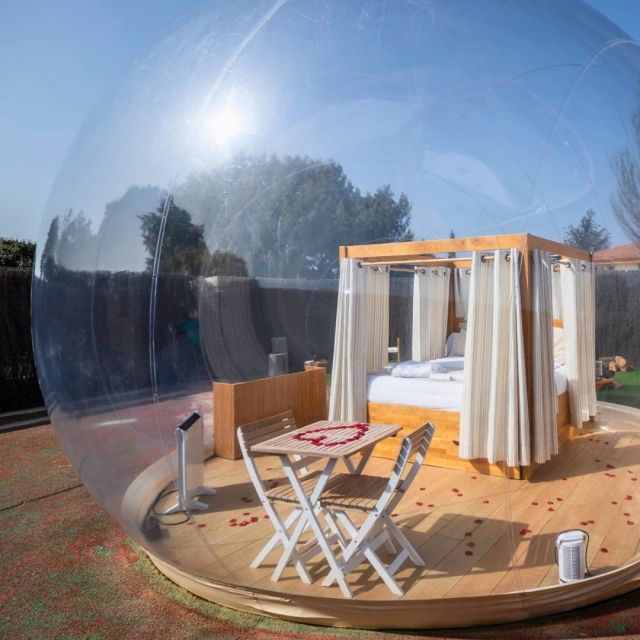  Pétales dans la bulle 