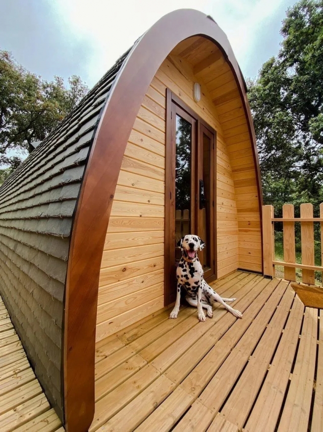 Cabañas Pet-Friendly